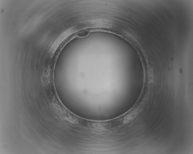 X0000052940875200507081141