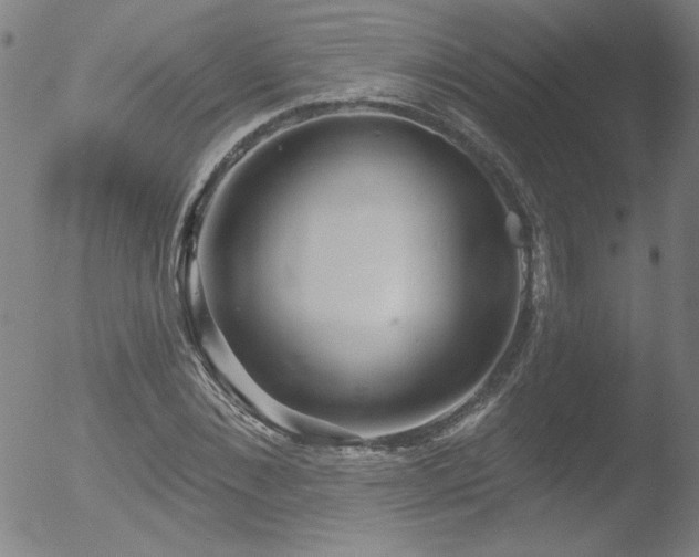 X0000052940876200507081141