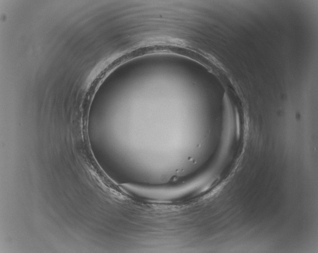 X0000052940877200507081141