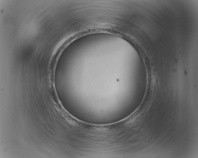 X0000052940878200507081141