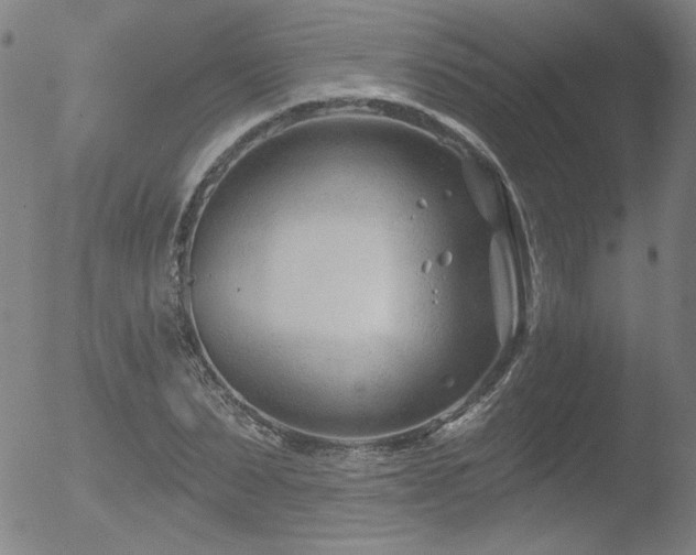 X0000052940879200507081141