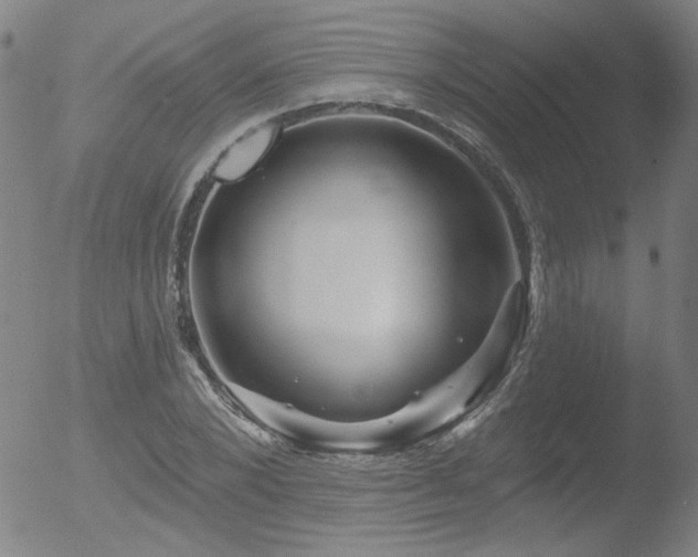 X0000052940880200507081141