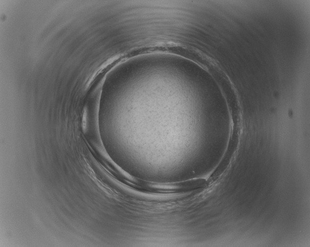 X0000052940881200507081141