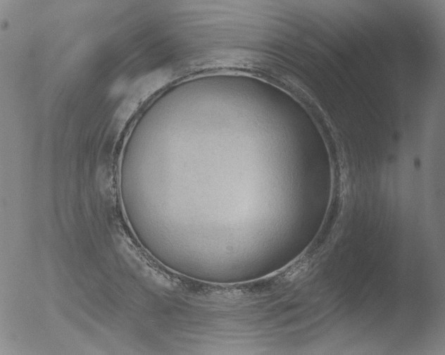 X0000052940882200507081141