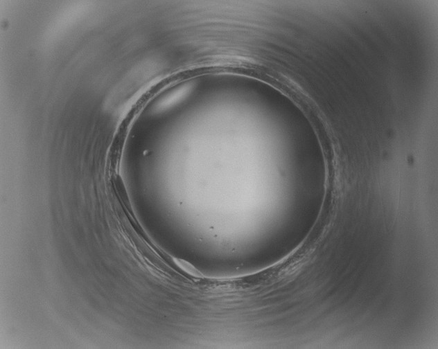 X0000052940883200507081141