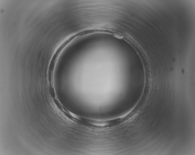 X0000052940884200507081141