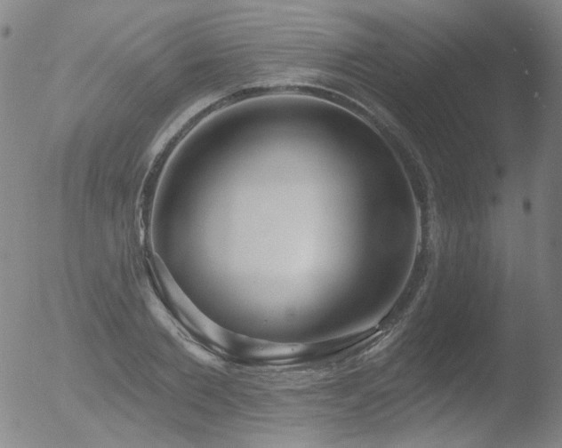 X0000052940885200507081141