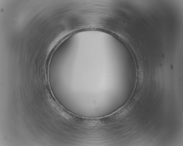 X0000052940886200507081141