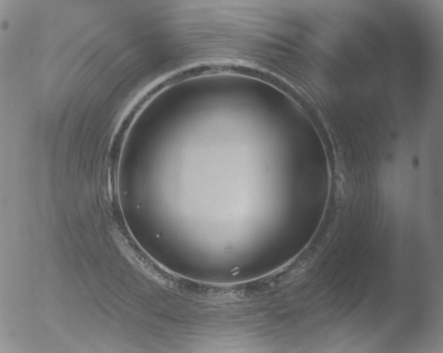 X0000052940887200507081141