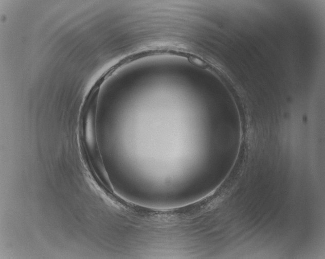 X0000052940888200507081141