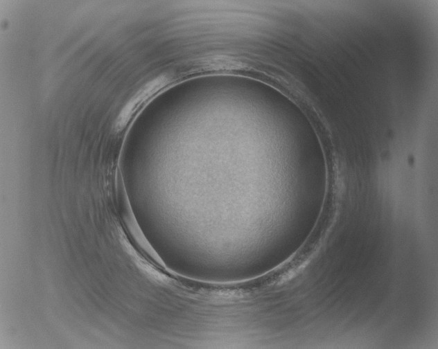 X0000052940889200507081141