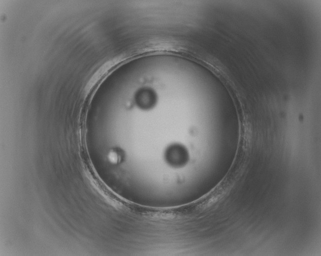 X0000052940890200507081141