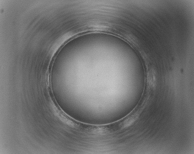 X0000052940891200507081141