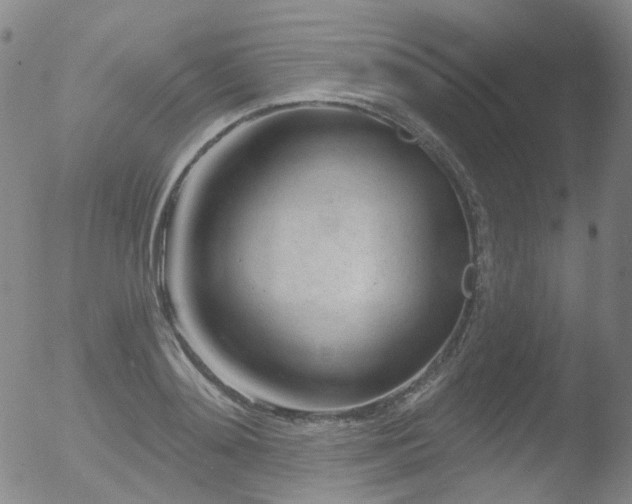 X0000052940892200507081141