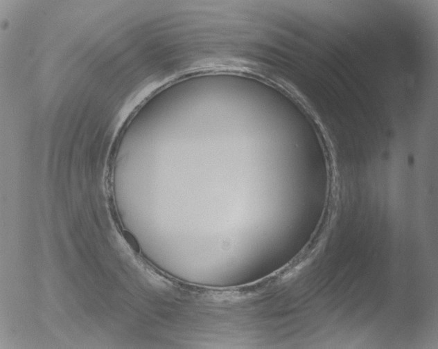 X0000052940893200507081141