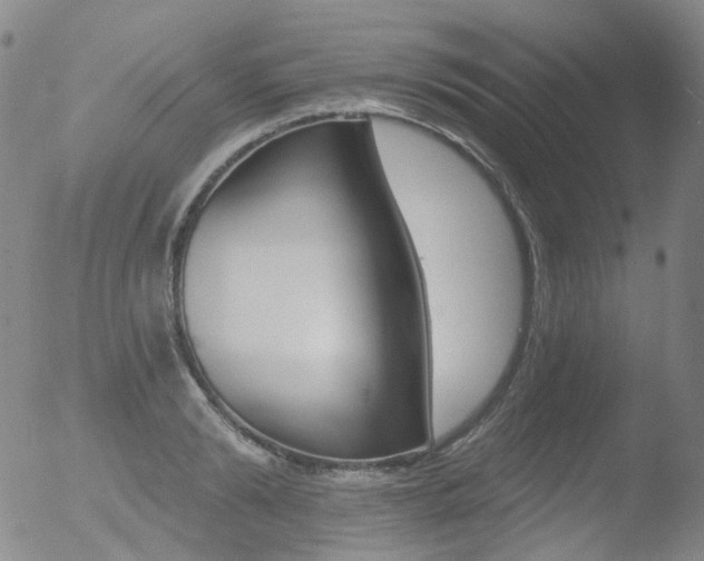 X0000052940894200507081141