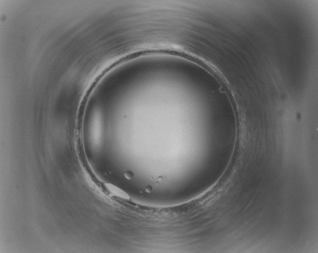 X0000052940895200507081141