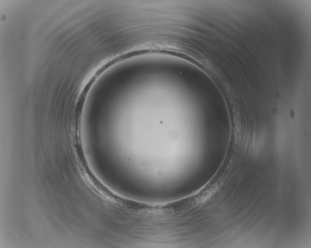 X0000052940896200507081141