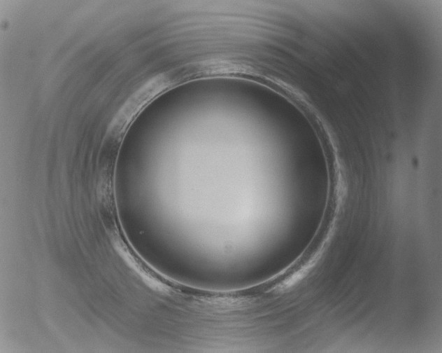 X0000052940897200507081141