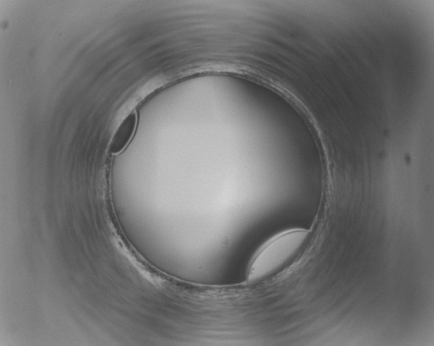 X0000052940898200507081141