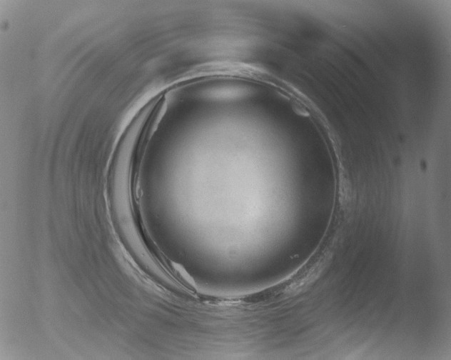 X0000052940899200507081141