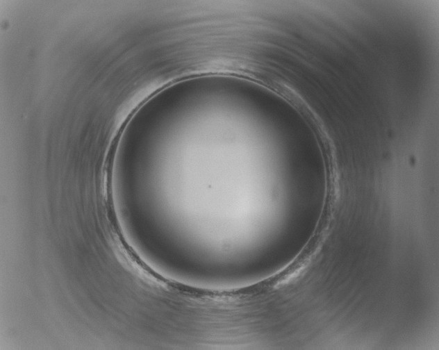 X0000052940900200507081141