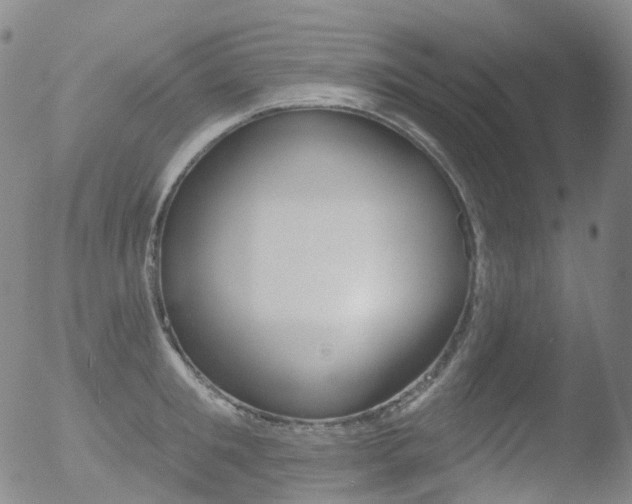 X0000052940901200507081141