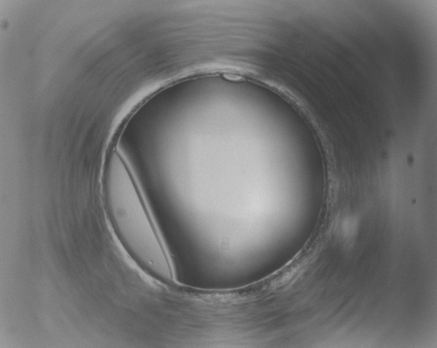 X0000052940902200507081141