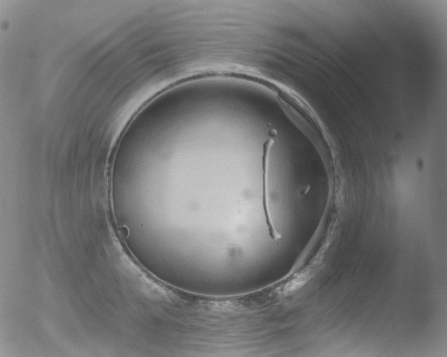 X0000052940903200507081141