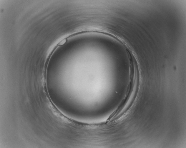 X0000052940904200507081141