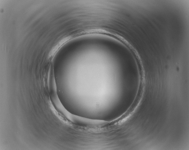 X0000052940905200507081141