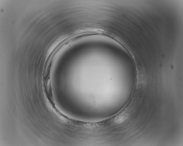 X0000052940906200507081141