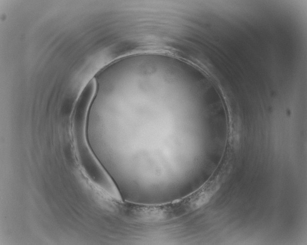 X0000052940907200507081141