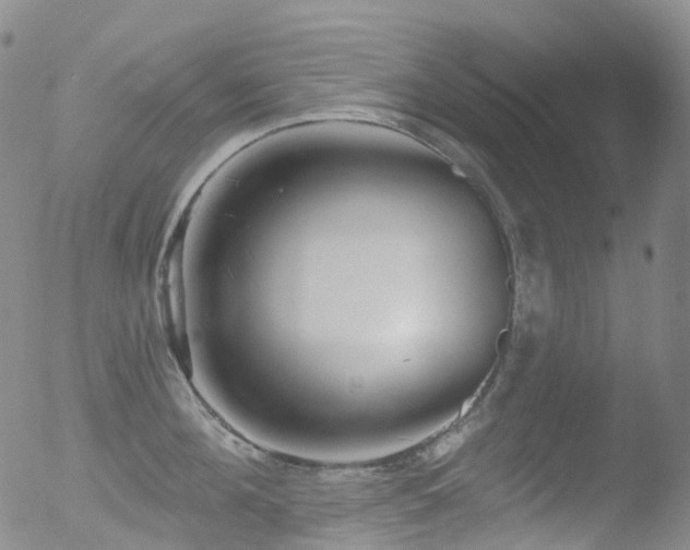 X0000052940908200507081141