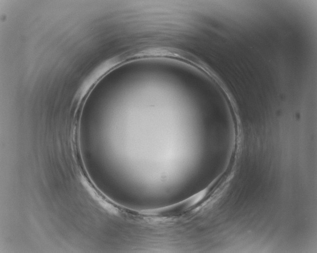 X0000052940909200507081141