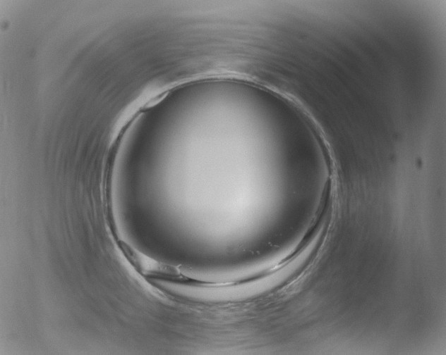 X0000052940910200507081141