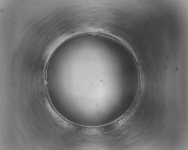 X0000052940911200507081141