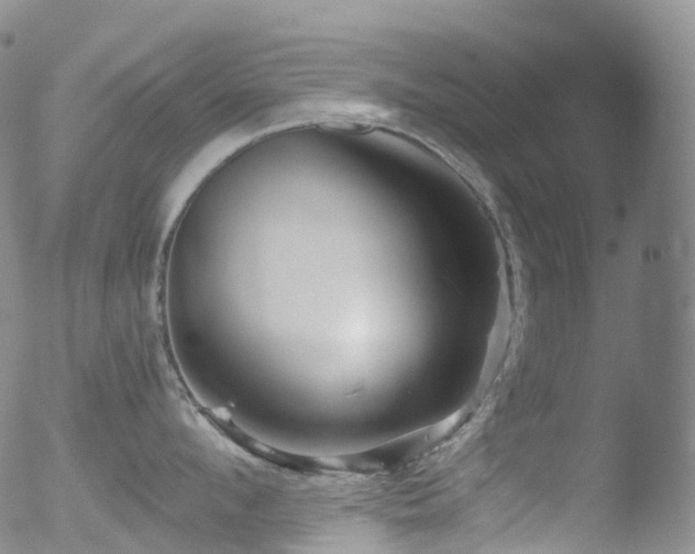 X0000052940912200507081141