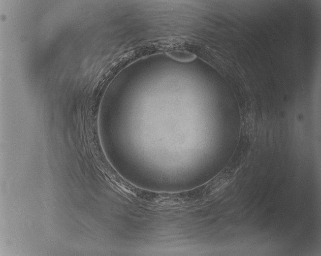 X0000052940913200507081140