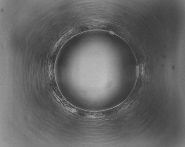 X0000052940915200507081140