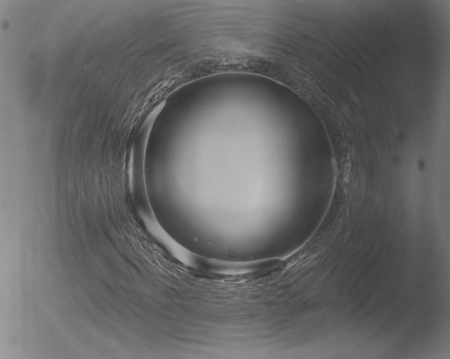 X0000052940916200507081140