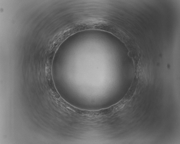 X0000052940917200507081140