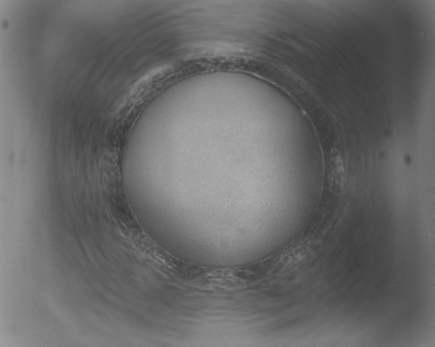 X0000052940918200507081140