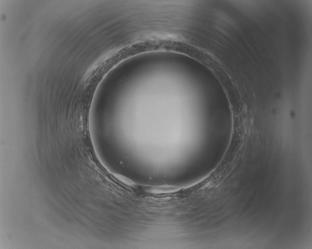 X0000052940919200507081140