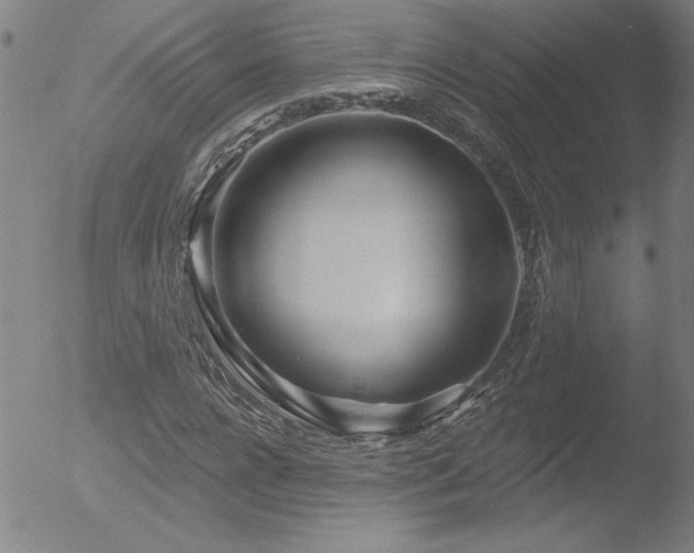 X0000052940920200507081140