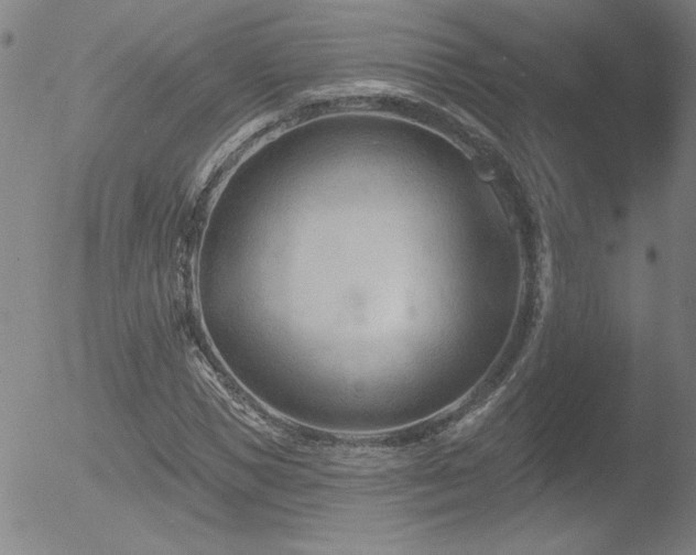 X0000052940921200507081140