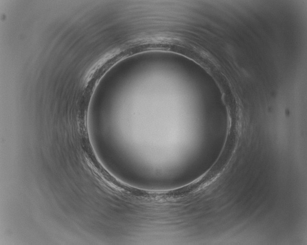 X0000052940922200507081140