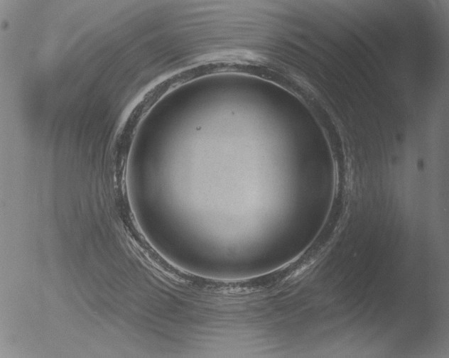 X0000052940923200507081140