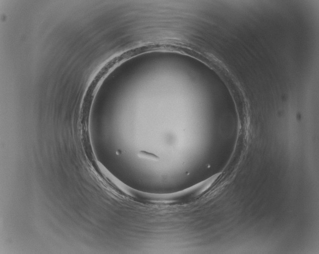 X0000052940924200507081140