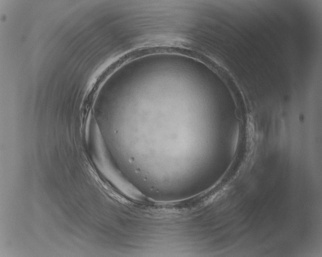 X0000052940925200507081140